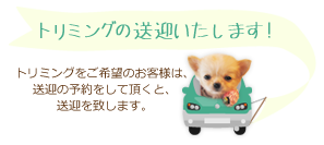 送迎いたします。