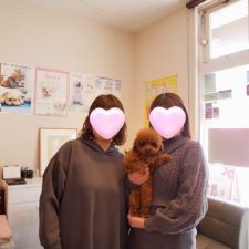 061230プードルのらんくんと飼い主様