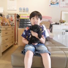 070131プードルくんと飼い主様