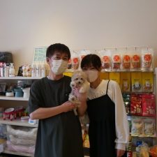 Mixマルプー０７０５０３ラナちゃん