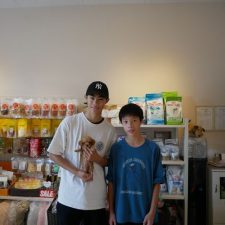 070428プードルのレッドの男の子と飼い主様