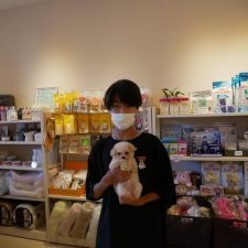070616プードルのアプリコットの女の子と飼い主様