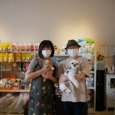 070627Mix（ﾏﾙﾌﾟｰ）のあいちゃんと飼い主様