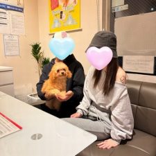 070704プードルの男の子と飼い主様