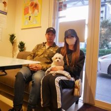 070728Mix（ﾏﾙﾌﾟｰ）のクリームの女の子と飼い主様