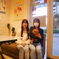 070711プードルのレッドの女の子と飼い主様