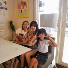 070802プードルのレッドの女の子と飼い主様