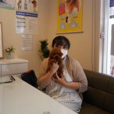 プードルののあちゃんと飼い主様０７０７１９レッド