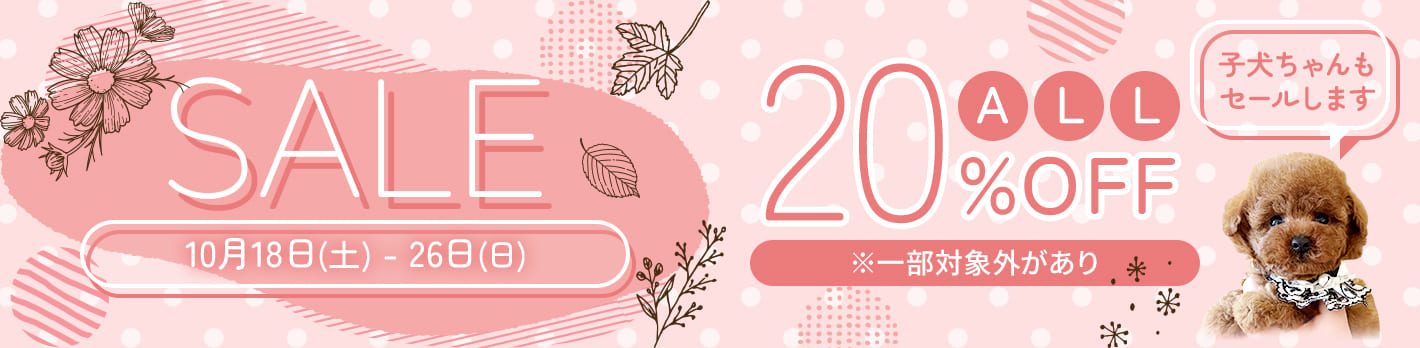 ALL20%OFFセール