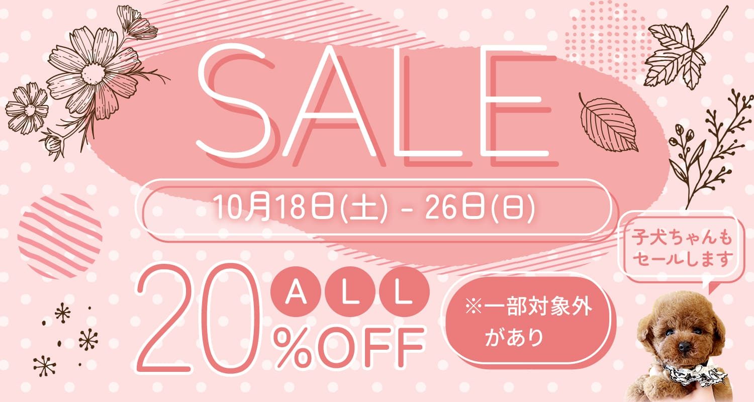 ALL20%OFFセール