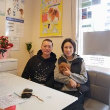 071002プードルの姫ちゃんと飼い主様