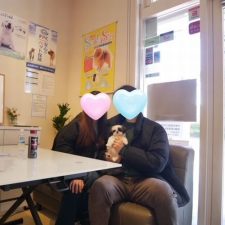 070914シーズーのおこげちゃんと飼い主様