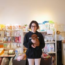 071002プードルのレッドの男の子と飼い主様