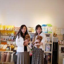 071022ティーカップのあんずちゃんとセナくんと飼い主様