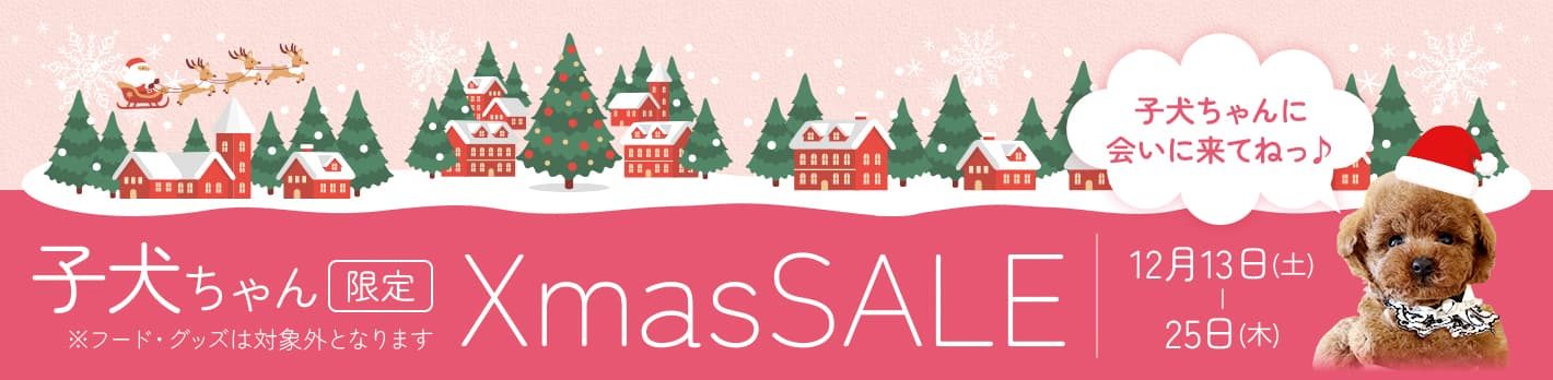 子犬ちゃん限定クリスマスセール
