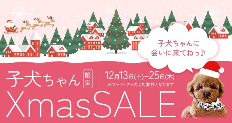 子犬ちゃん限定クリスマスセール