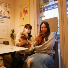 071113プードルのモアナちゃんと飼い主様