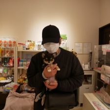 071112ちわわのブラックタンの女の子と飼い主様